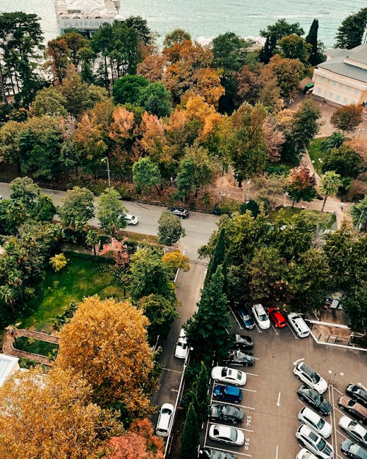 An aerial view overlooking a residential area with a mixture of trees displaying autumn foliage in shades of green, orange, and yellow. The image shows a parking lot filled with various cars positioned in neat rows adjacent to a narrow road lined with additional parked vehicles. Beyond the trees, there is a waterfront with a slipway leading to a body of water. Surrounding the area are buildings, including a large structure with a pitched roof on the right side. The scene is illuminated by natural daylight, highlighting the autumn colours and casting soft shadows. This image relates to house removals and relocation logistics, demonstrating the outdoor environment where furniture and boxes might be loaded into a van for home relocation, as handled by Man with Van Petersham. The spacious parking and street environment support efficient loading and transportation of household items as part of a professional removals service.